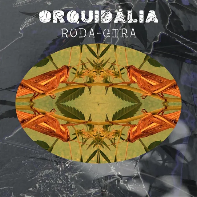 Roda-Gira