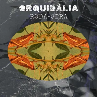 Roda-Gira by Orquidália