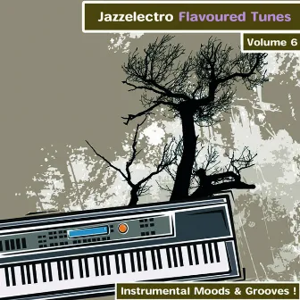 Jazzelectro Flavoured Tunes Vol. 6 - Instrumental Moods & Grooves! by Beetle Peacock