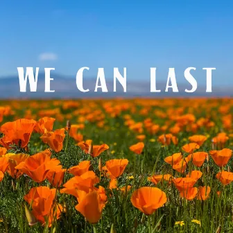 We Can Last by Mike Lerman