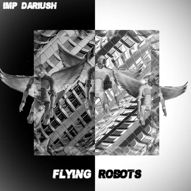 Flying Robots