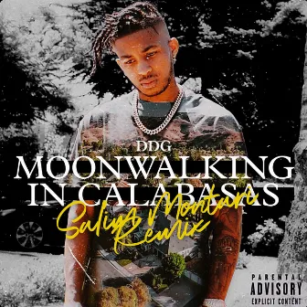 Moonwalking in Calabasas (Salim Montari Remix) by Salim Montari