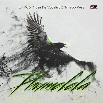 Phumelela by Musa De Vocali$t