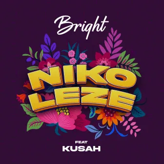 Nikoleze by Bright