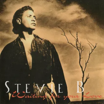 Waiting For Your Love by Stevie B