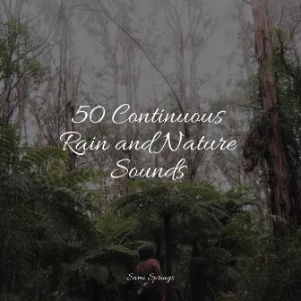 50 Continuous Rain and Nature Sounds by Natural Nature Makers