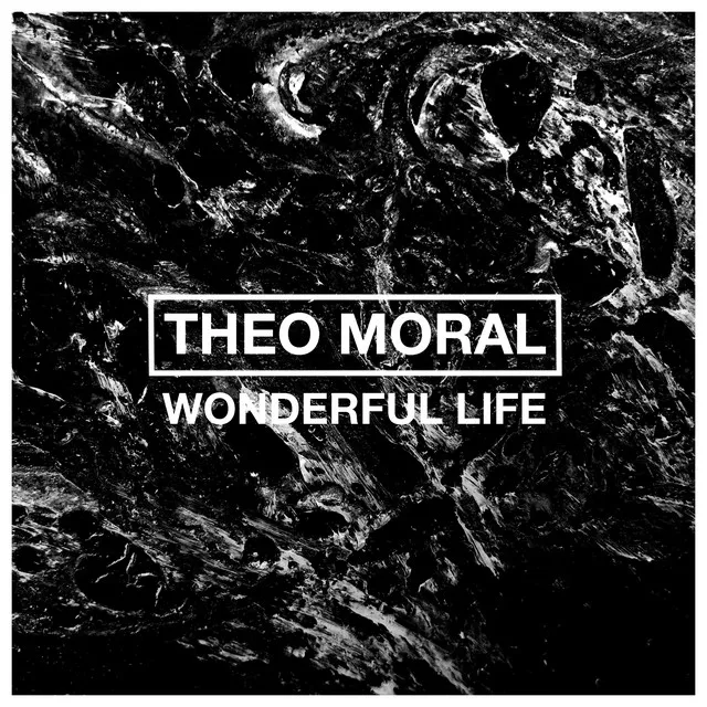 Wonderful Life - Live