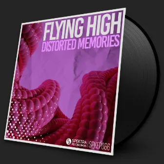 Distorted Memories by Flying High