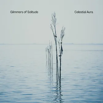 Glimmers of Solitude by Celestial Aura