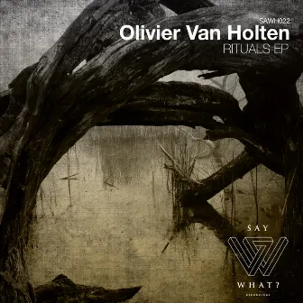 Rituals EP by Olivier Van Holten