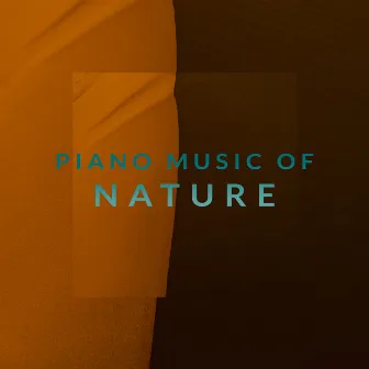 Piano Music of Nature – Relaxing Instrumental Music with Nature Background by Nature Sounds Paradise