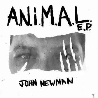 A.N.i.M.A.L by John Newman