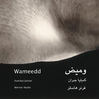 Wameedd by Werner Hasler