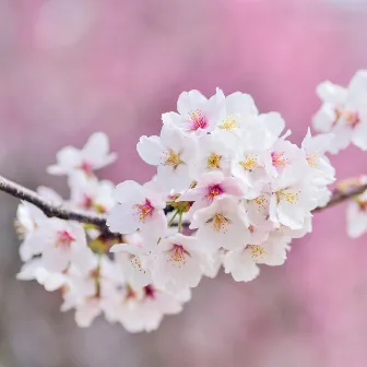 Healing and Calming Noises White and Brown Loopable by Shushing Noises