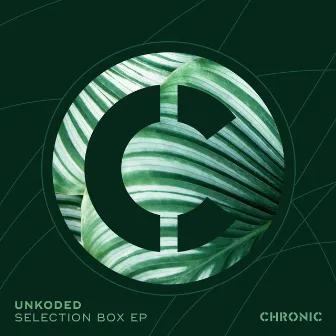 Selection Box EP by Unkoded