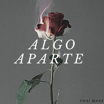 Algo Aparte by unai maaz