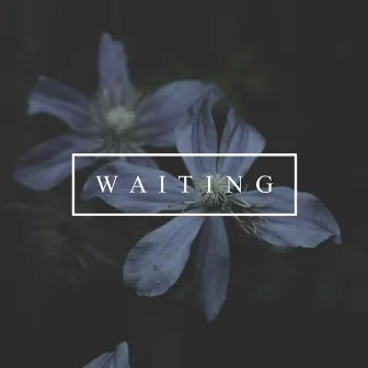 Waiting by Christine Wojcik