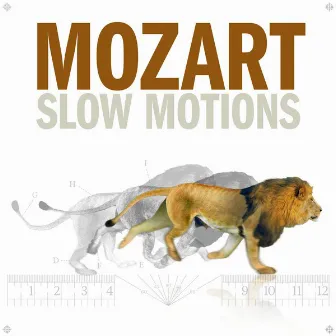 Mozart Slow Motions by Axel Gillison