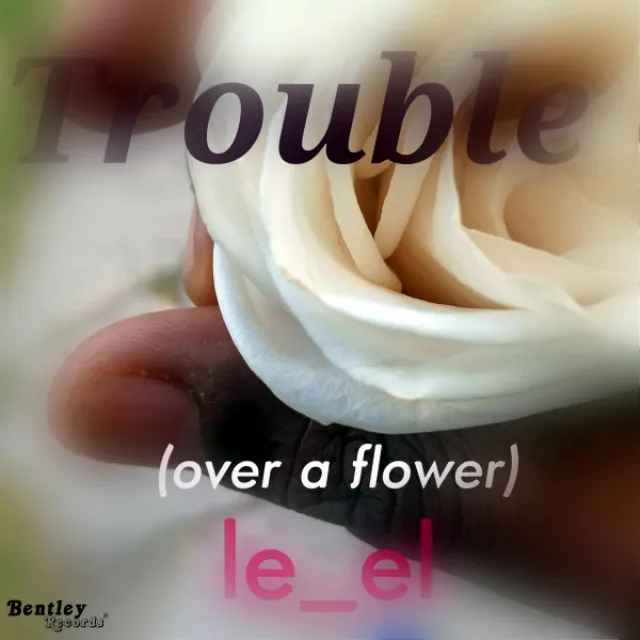 Trouble (Over a Flower)