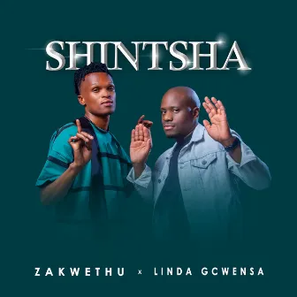 Shintsha by Zakwethu