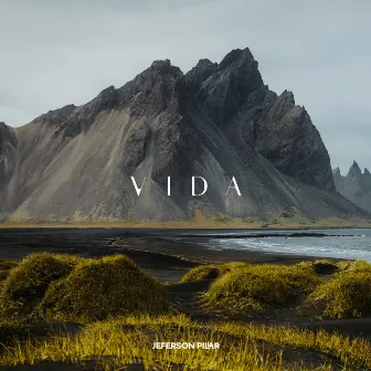 Vida by Jeferson Pillar