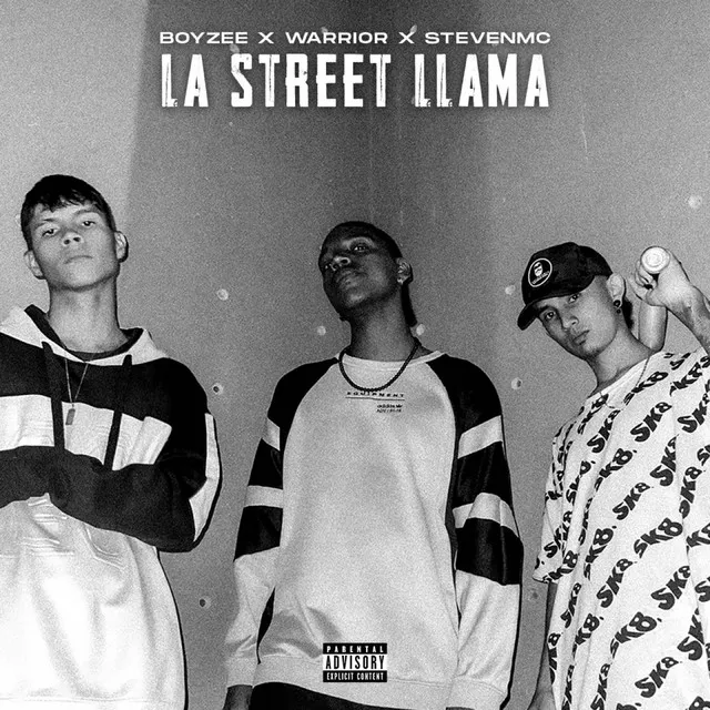 LA STREET LLAMA