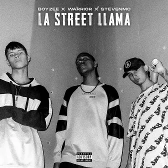 LA STREET LLAMA by Boy-Zee