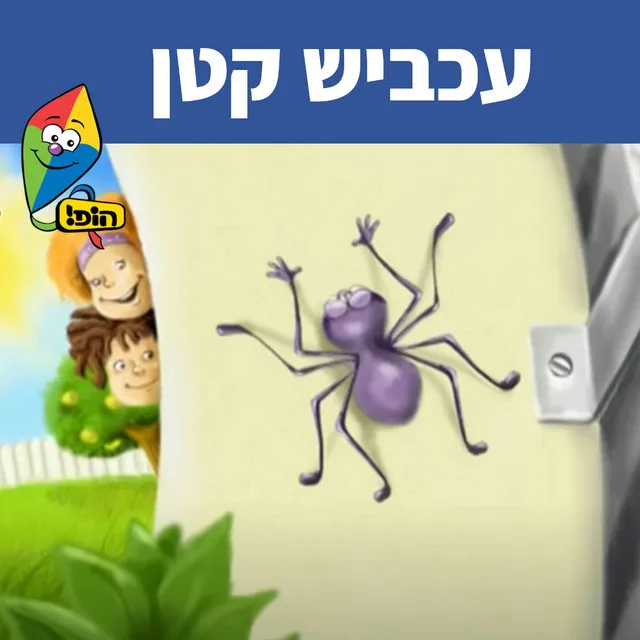 עכביש קטן