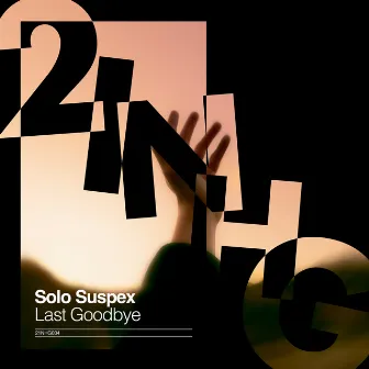 Last Goodbye by Solo Suspex