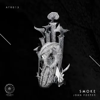 Smoke by John Foster