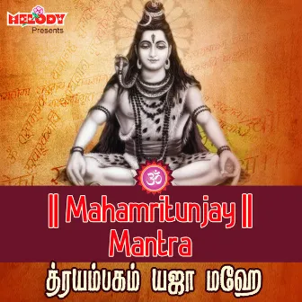 Mahamritunjay Mantra by Geetha