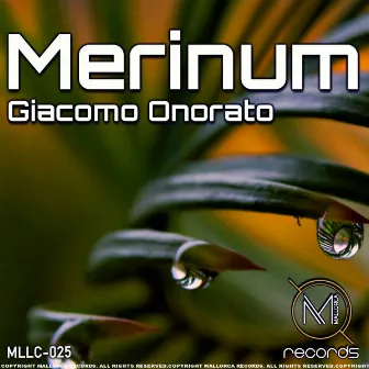 Merinum by Giacomo Onorato