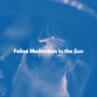 Feline Meditation in the Sun by Study Vibes