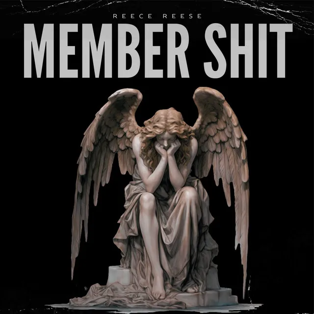 Member Shit