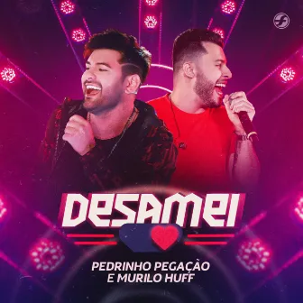 Desamei (Ao Vivo) by Pedrinho Pegação