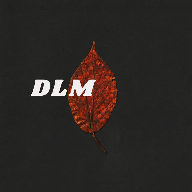 DLM