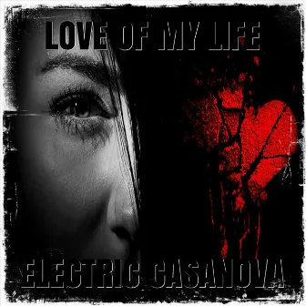 Love of My Life by Electric Casanova