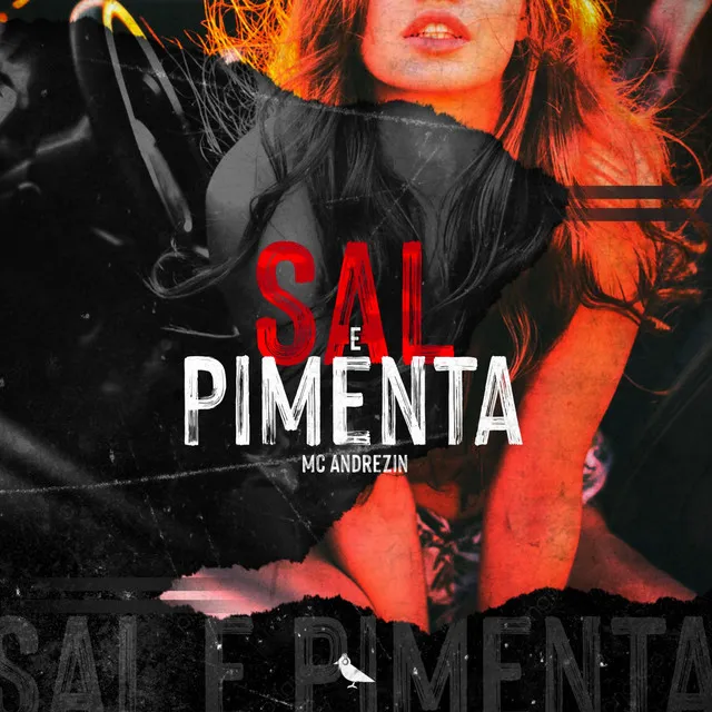 Sal e Pimenta