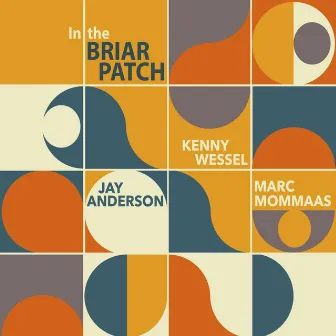 In the Briar Patch by Jay Anderson