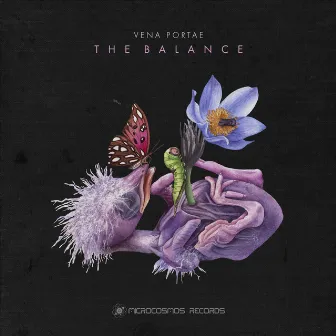 The Balance by Vena Portae