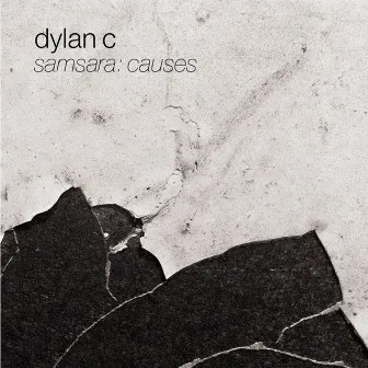 Samsara: Causes by Dylan C