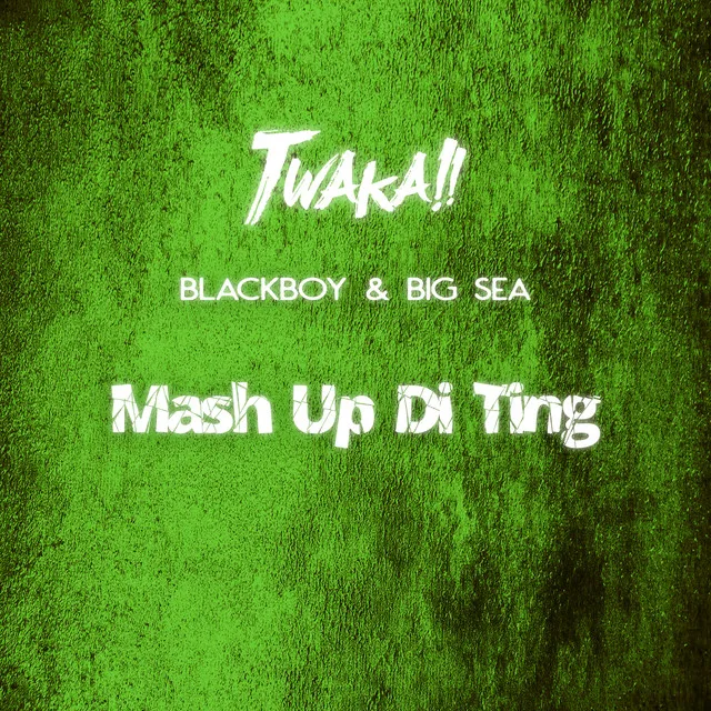 Mash up di Ting