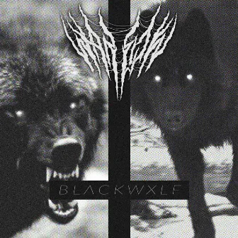 BLACKWXLF by WARLOK