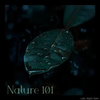 Late Night Rain by Nature 101