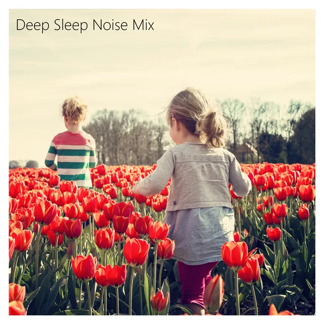 Sleep Noise Relax