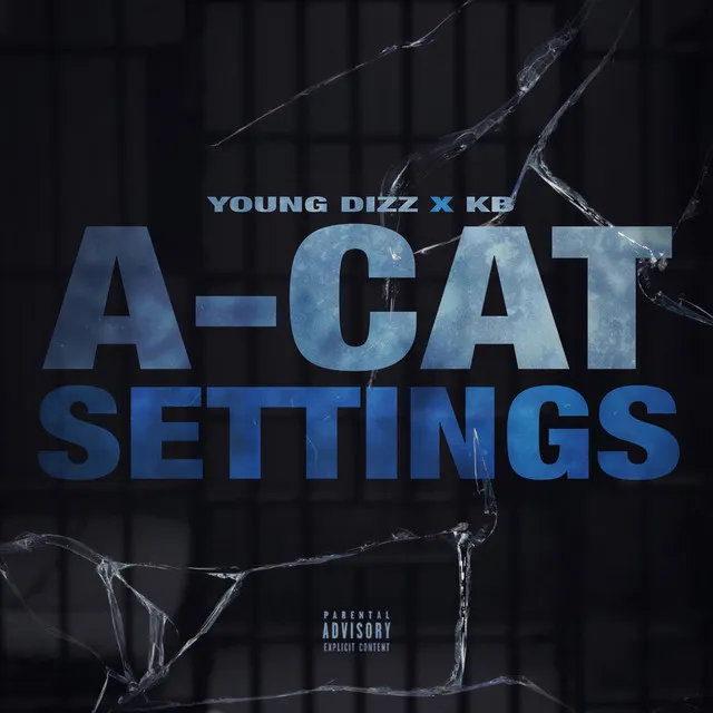 A-Cat Settings