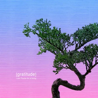 Gratitude by H E R B