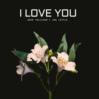 I Love You by Dave Tolliver