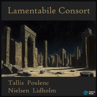 Tallis, Poulenc, Nielsen, Lidholm: Vocal Music by Lamentabile Consort