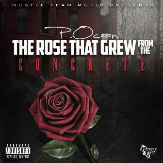 The Rose That Grew from the Concrete by P.Ocean